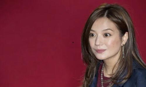 赵薇娱乐圈,娱乐圈的璀璨星辰