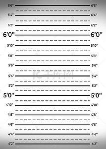 监狱身高背景板,揭秘身高背景板的秘密与影响